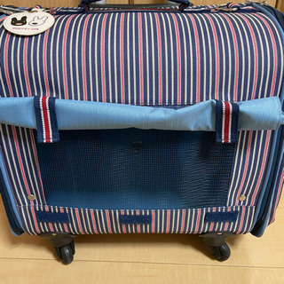 島野啓志の“なまえ”のない整体DVD