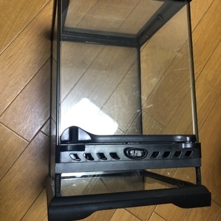 グラステラリウム　ナノ 2個セット