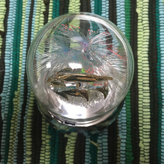 ¥0 イルカ【オルゴール】の画像