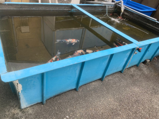 池　巨大水槽　2.21日で投稿終了します。