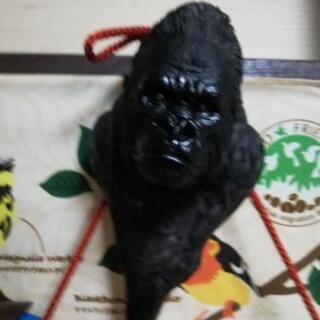 美品♦️ゴリラのハンガー掛け♦激超超超安♦お値打ち‼️お得‼️綺...