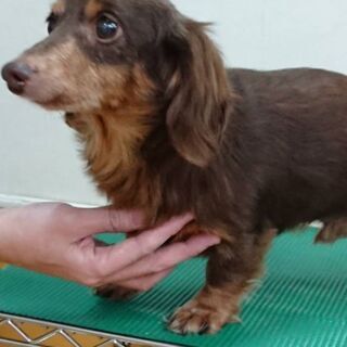 募集を終了します。