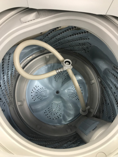 Hisense HW-T55C 2019年製 5.5kg 洗濯機 | ヤマダウェブコム