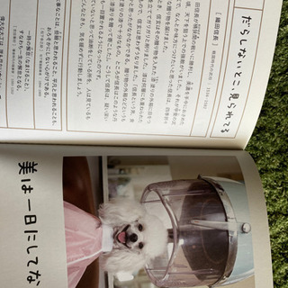 人生はワンモアチャンスの画像