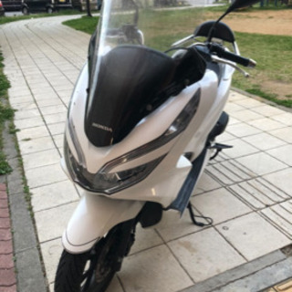 PCX JF81 Honda
