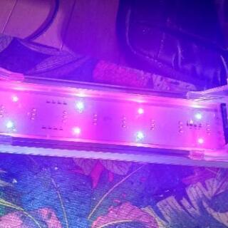 【お取引中、受付停止】30センチ水槽 LED照明　2セットの画像