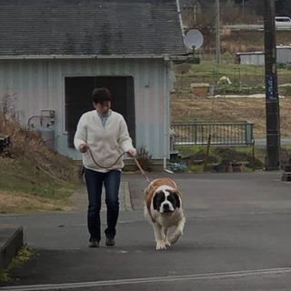 ご不在時のペットのお世話はおまかせ下さい☆ - 岐阜市