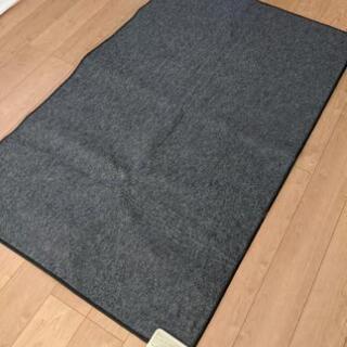 富士通ホットカーペット1.3畳 ＆ ニトリラグ