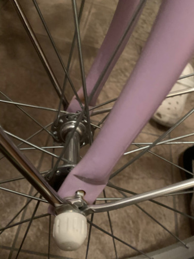 決まりました　ブリジストン自転車22インチ　子供用エコパルモカ