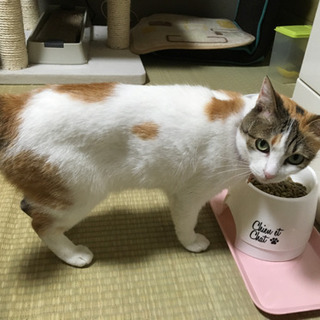 ご不在時のペットのお世話はおまかせ下さい☆