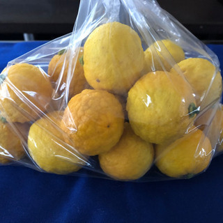 ゆず　譲ります。