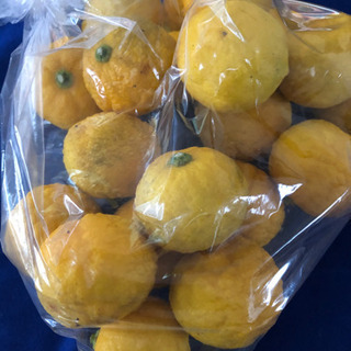 ゆず　譲ります。の画像