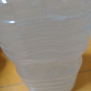 タイリクミジンコ大絶賛販売中!!リピーター多数(^^)約3000匹を1000円の画像