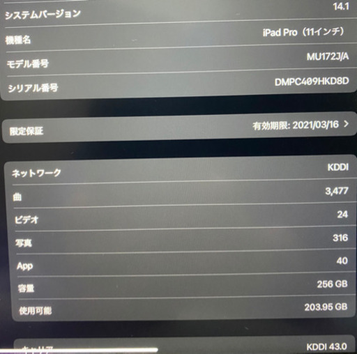 iPadpro11インチ　256GB セルラー　Applepencil ケース付