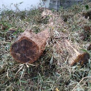 薪　木　欲しい方　の画像