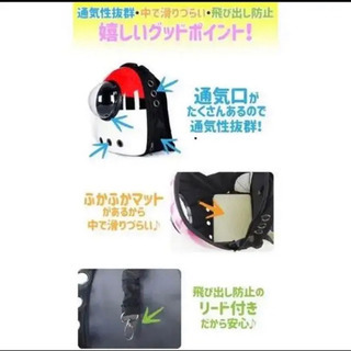 猫　犬　キャリーバッグ　ペットリュック　新品の画像