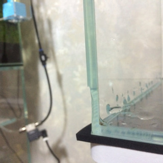 取引中　アクアリウム関連(ADA他)