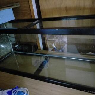 決まりました！90cmコトブキWIDE 水槽