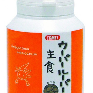 11月までの為！特価！！　イトスイ　ウーパールーパーの主食85g
