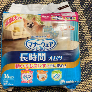 超小型犬用マナーウェアの画像