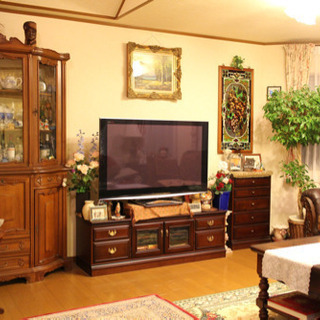 Panasonic VIERA ビエラ 50インチ 2008年度製