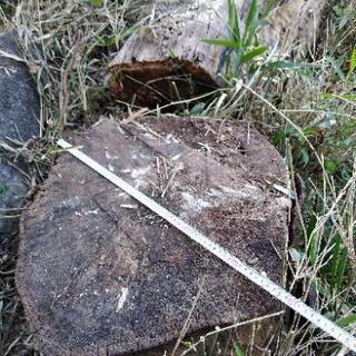 薪　木　欲しい方　の画像