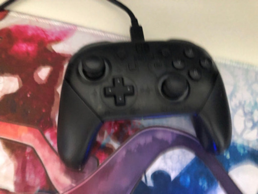 本日のみ任天堂Switch 人気ソフト多め