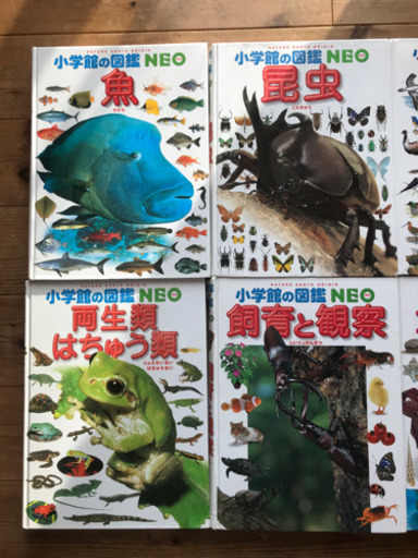 小学館の図鑑、他図鑑  11冊