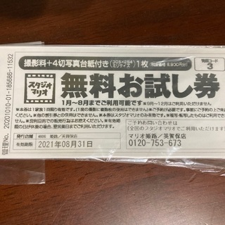 1月3日まで！スタジオマリオ　無料お試し券