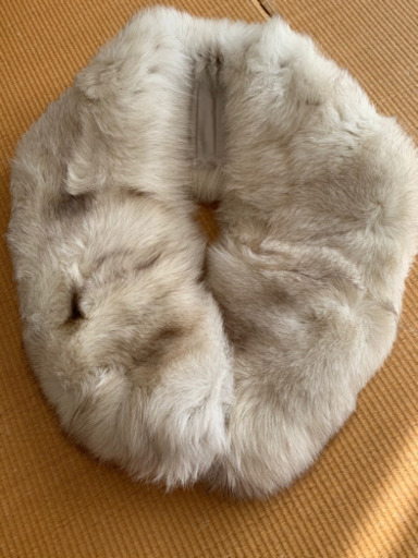 サガフォックス