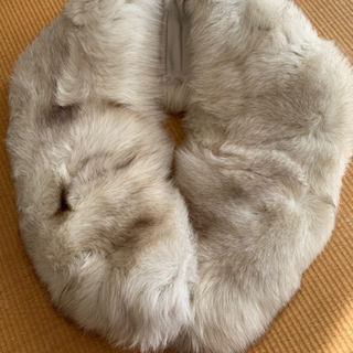 サガフォックスの画像