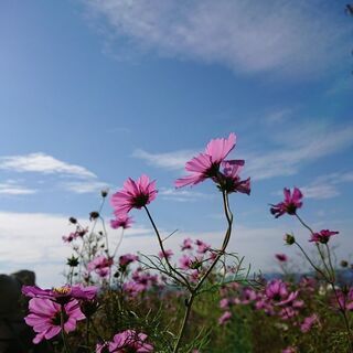 朝の挨拶からおやすみ😪まで楽しくお話出来るメンバー - チャット