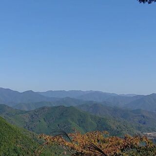 朝の挨拶からおやすみ😪まで楽しくお話出来るメンバー - 堺市