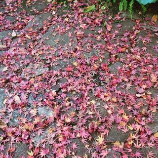 朝の挨拶からおやすみ😪まで楽しくお話出来るメンバー