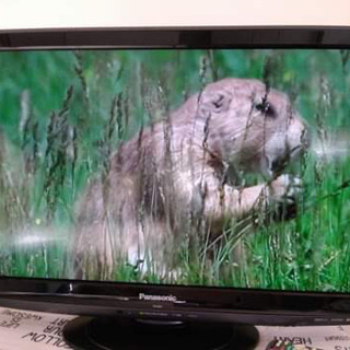 TV & DVD PLAYER