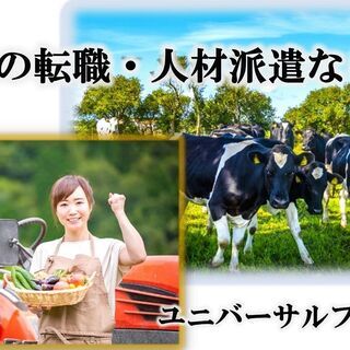 ＼北海道まで旅費支給／北海道の広大な牧場で牛さんとオシゴト！人混みを避けて短期就農しませんか？【日払いO☆寮費実質無料！】 (502517734)の画像