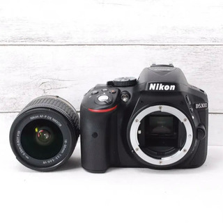 D5300 美品 シャッター回数約900！！