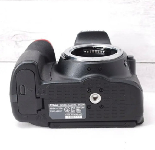 D5300 美品 シャッター回数約900！！