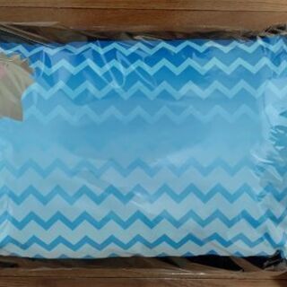 【鬼滅の刃】嘴平伊之助　しまむらコラボ　カバー付き枕　新品未使用の画像