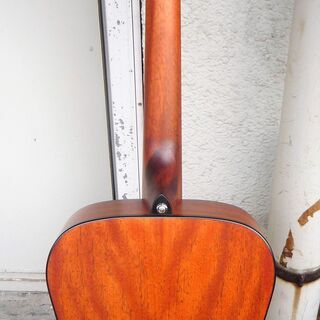 ☆コルト Cort CAG-1F NAT アコースティックギター アコギ 弾き語りに◆島村楽器オリジナルモデルの画像
