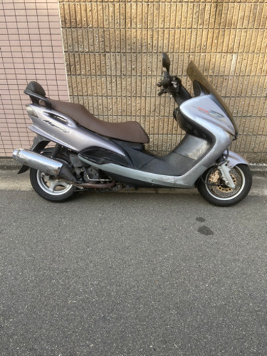 コマジェ！絶好調！シート新品！