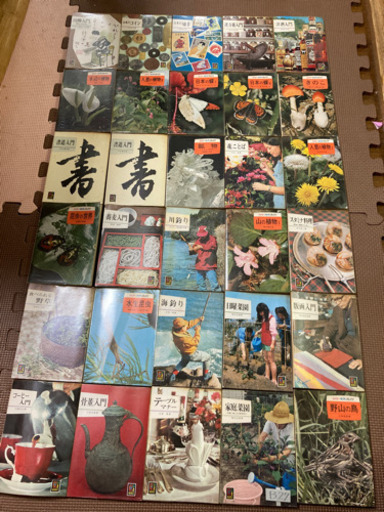 カラーブックス30冊（ダブりあり）