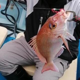 オフショア（船釣）釣り仲間募集 − 愛知県