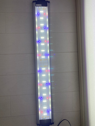 60cm水槽