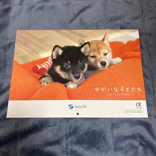 ゆかいな子犬たち カレンダー 2021年