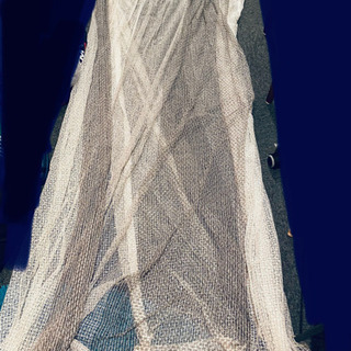 カーテン レース セット ニトリ ブレイブ 白の画像