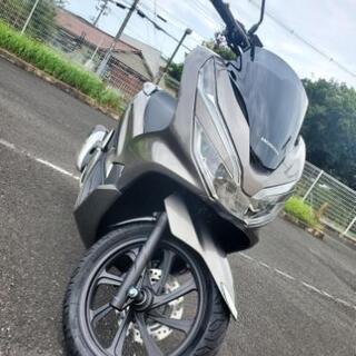 PCX JF81 今週限定 1600kmワンオーナー車
