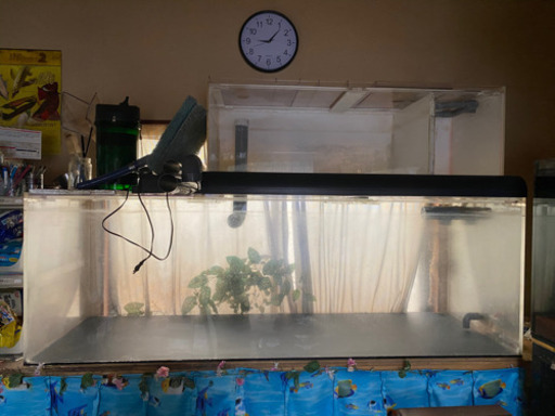 大型水槽180、濾過槽120、ライト120、60、