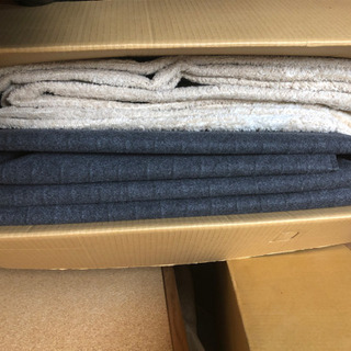 ナショナル着せかえカーペットの画像