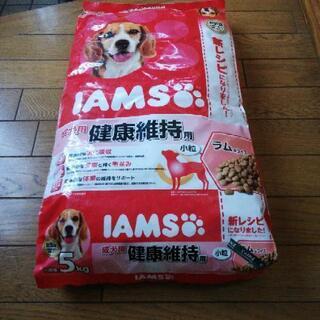 ドッグフード　アイムス　5kg 